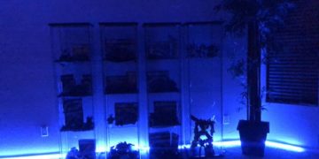 TrivDaily - Interior Jennifer Lopez’s luxe Miami rental: 5 stress-free details in regards to the mansion 57 Interior Jennifer Lopez’s luxe Miami rental: 5 stress-free details in regards to the mansion