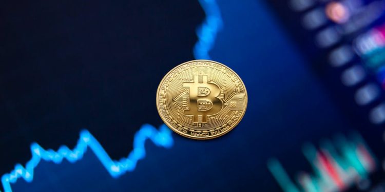 Crypto billionaire Brock Pierce purchases W Hotel in Puerto Rico