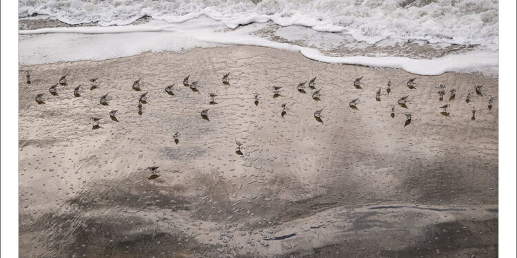 TrivDaily - Here's how the data we feed AI determines the results 58 Here’s how the data we feed AI determines the results