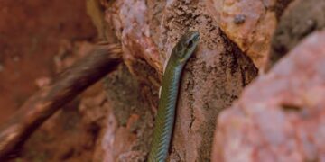 Hidden Gems: Nowhere Boy