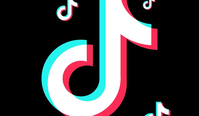 TikTok Is Officially Banned in the USA: Here’s How a VPN Can Unblock It