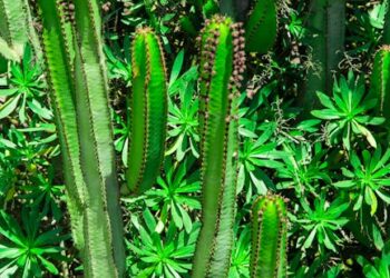 James Cameron Will Take a Break From ‘Avatar’… in Hell