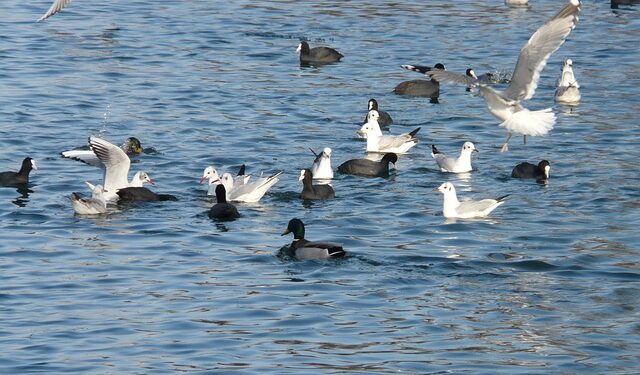 Rise & Hustle: The Game That Pays You to Play