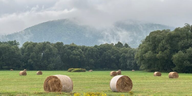 Arthur Hayes Claims He Sold HYPE for $800K Profit but Says “Up Only” Ahead for Crypto