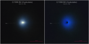 TrivDaily - Prediction: Lecce vs Napoli – Betting Tips, Team News, Key Facts 44 Prediction: Lecce vs Napoli – Betting Tips, Team News, Key Facts