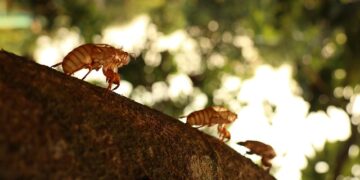 TrivDaily - Scientists Uncover Yet Another Reason to Sleep in Total Darkness 59 Scientists Uncover Yet Another Reason to Sleep in Total Darkness