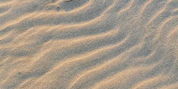 TrivDaily - Michael Burry’s big short: Is the AI bubble bigger than Bitcoin? 63 Michael Burry’s big short: Is the AI bubble bigger than Bitcoin?