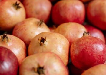 Fanatics Markets rolls out as sportsbook operators chase new growth