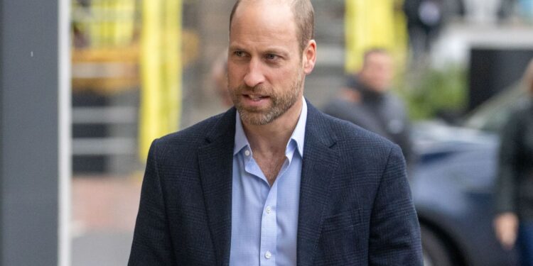 Prince William keeps his 20-year promise to honour Princess Diana’s work during new outing – best photos