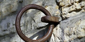 Tether launches QVAC Health app with focus on privacy and AI