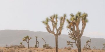 Eurochange Wins Bronze for Best Retailer for Forex/Travel Money at the British Travel Awards 2025