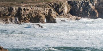 TrivDaily - Sportradar nets Breon Corcoran as board member for new phase of global expansion 58 Sportradar nets Breon Corcoran as board member for new phase of global expansion