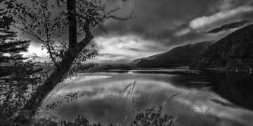 Bank Of Japan Takes Landmark Step: Policy Rate Raised To 0.75%