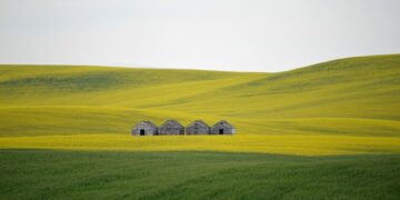 Uber and Lyft rolling Baidu robotaxis into London next year