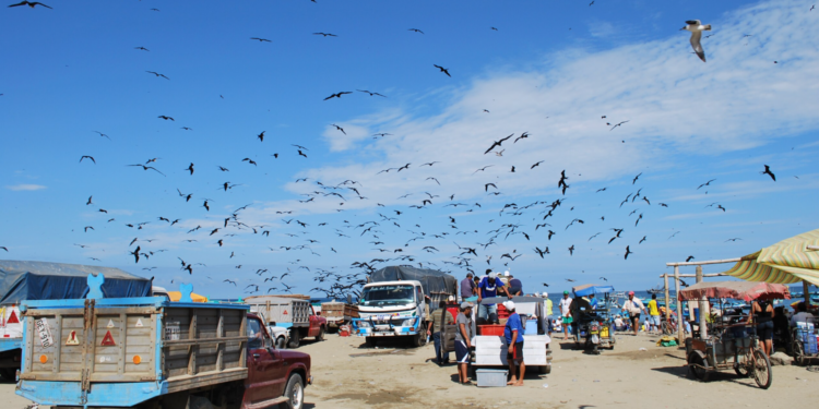 Five Severed Heads Hung on Ecuador Beach With Threatening Message as Murder Rate Soars 47%