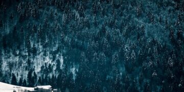 How things went ‘downhill’ for Vietnam’s once-booming cryptocurrency traders