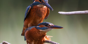 Colourful ‘play corridor’ launches at leisure centre
