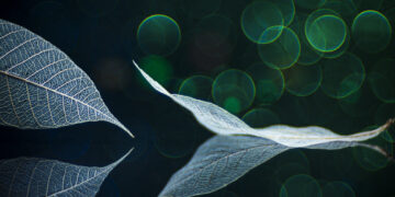 Leafs lose to Kings, new name emerges in Toronto’s GM search