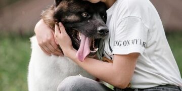 Pet owners warned of new EU travel rules